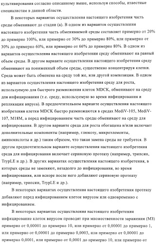 Линии клеток почки собаки майдин-дэрби (mdck), поддерживающие рост вирусов до высоких титров, и способ применения этих клеток в биореакторе (патент 2487935)