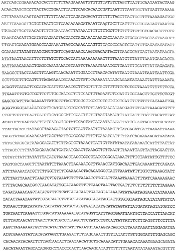 Применение s1p (патент 2362565)