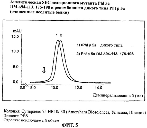 Производные phi p 5а, обладающие сниженной аллергенностью и сохраненной т-клеточной реактивностью (патент 2368620)