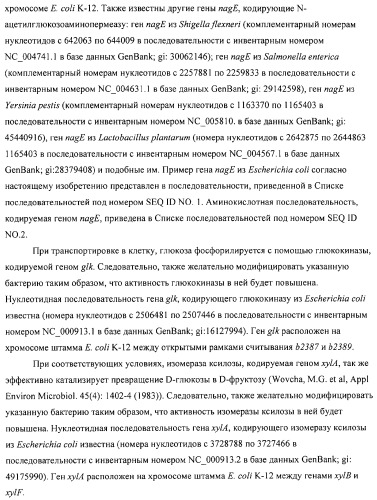 Способ получения l-аминокислот с использованием бактерии, принадлежащей к роду escherichia (патент 2312893)