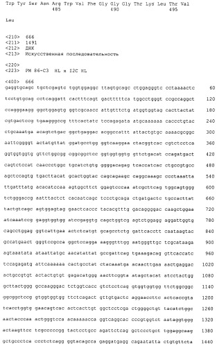 Psma×cd3 биспецифическое одноцепочечное антитело с межвидовой специфичностью (патент 2559531)