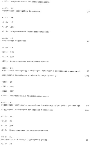 Бактерия escherichia coli для получения 1,2-пропандиола, способ ее получения, способ получения 1,2-пропандиола (патент 2407793)