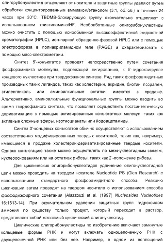 Мотивы последовательности рнк в контексте определенных межнуклеотидных связей, индуцирующие специфические иммуномодулирующие профили (патент 2435851)