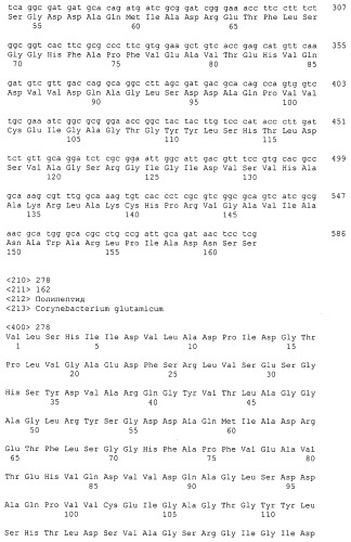 Гены corynebacterium glutamicum, кодирующие белки резистентности и толерантности к стрессам (патент 2303635)