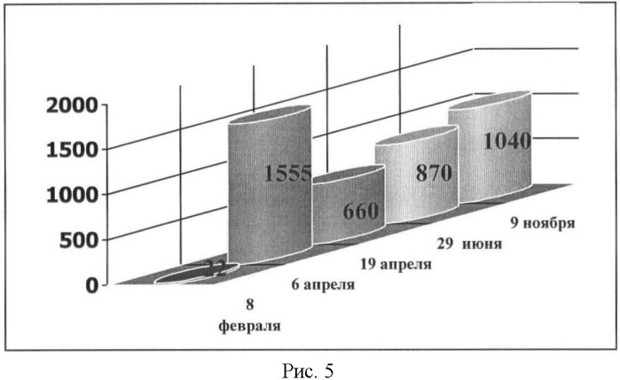 Способ восстановления тканей пародонта (патент 2368338)