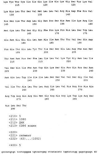 Нуклеиновые кислоты, кодирующие рецептор ctla-4 кошки, вектор, клетки-хозяева, вакцины, олигонуклеотиды, полипептиды ctla-4 кошки и способы индукции и подавления иммунного ответа у кошки (патент 2377302)