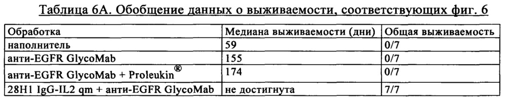 Композиция, содержащая два антитела, сконструированных так, чтобы они обладали пониженной и повышенной эффекторной функцией (патент 2650788)