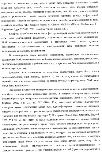 Способ получения фактора, связанного с контролем над потреблением пищи и/или массой тела, полипептид, обладающий активностью подавления потребления пищи и/или прибавления в весе, молекула нуклеиновой кислоты, кодирующая полипептид, способы и применение полипептида (патент 2418002)