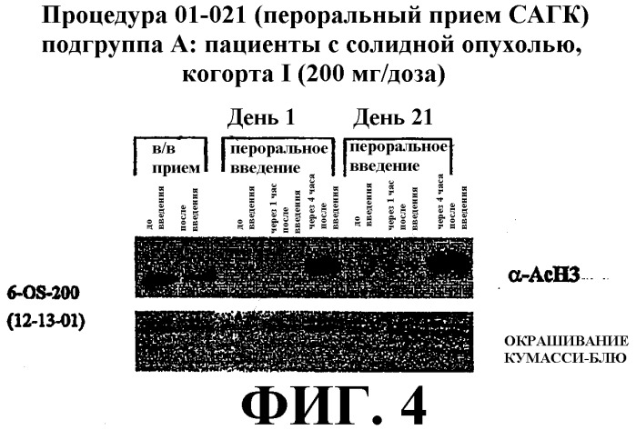 Способ индукции конечной дифференцировки (патент 2320331)