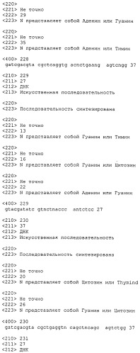 Антитела против bv8 и их применение (патент 2559542)