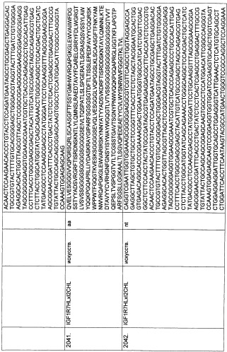 Pscaxcd3, cd19xcd3, c-metxcd3, эндосиалинxcd3, epcamxcd3, igf-1rxcd3 или fap-альфаxcd3 биспецифическое одноцепочечное антитело с межвидовой специфичностью (патент 2547600)