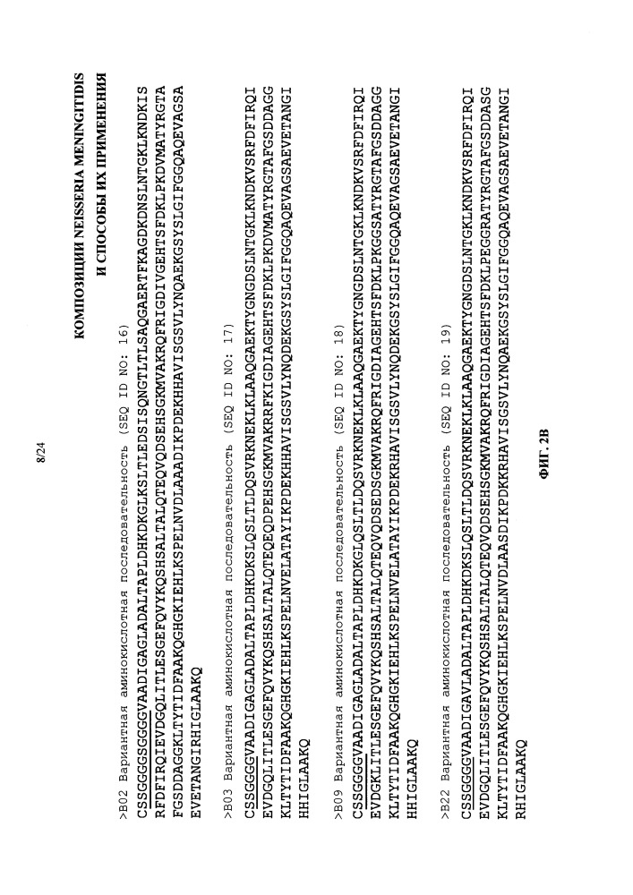 Композиции neisseria meningitidis и способы их применения (патент 2665841)