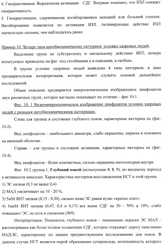 Цитобиохимический способ определения активности сукцинатдегидрогеназы, окисления эндогенной янтарной кислоты, сигнального действия микромолярных концентраций янтарной кислоты, его применение для количественной оценки уровня адренергической регуляции в организме, среда и набор для осуществления способа (патент 2364868)