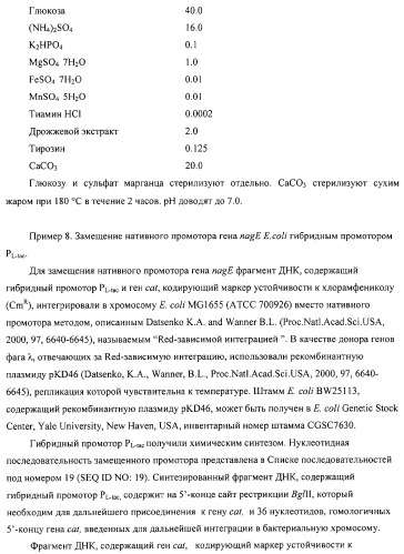 Способ получения l-аминокислот с использованием бактерии, принадлежащей к роду escherichia (патент 2312893)