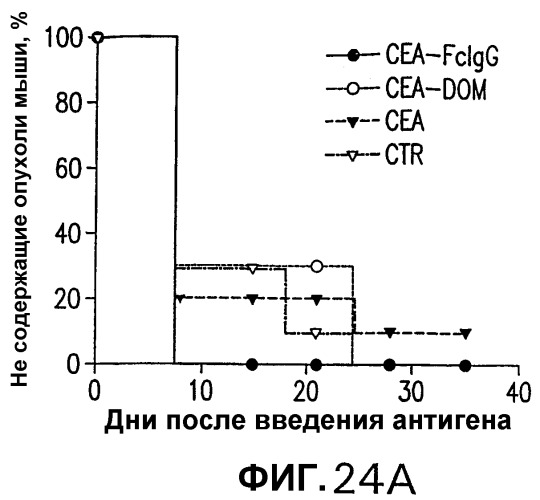 Слитые белки карциноэмбрионального антигена (патент 2380375)