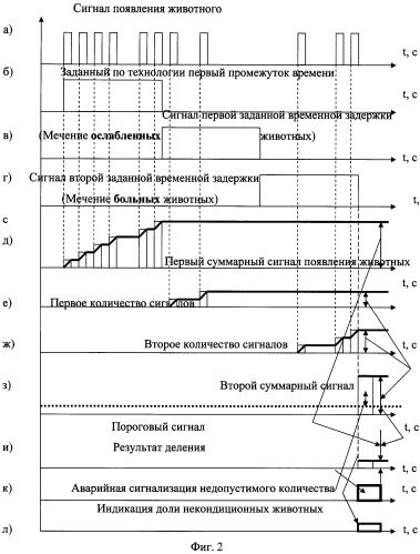 Способ и устройство контроля численности поголовья животных в стаде и овец в отаре и выявления среди них больных и ослабленных животных (патент 2490877)