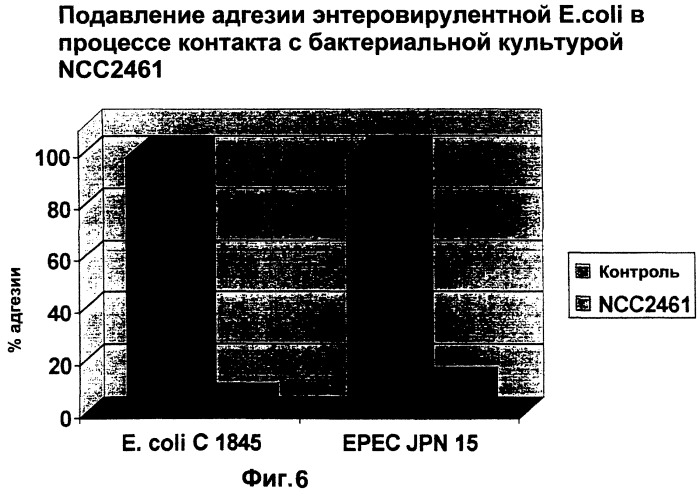 Штамм lactobacillus paracasei cncm i-2116 (ncc 2461), обладающий способностью предотвращать колонизацию кишечника патогенными бактериями, вызывающими диарею, и предотвращать заражение эпителиальных клеток кишечника ротавирусами, пищевой продукт и фармацевтическая композиция для профилактики и/или лечения заболеваний, связанных с диареей (патент 2247569)