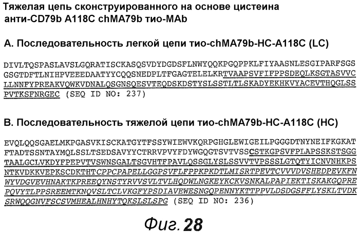 Анти-cd79b антитела и иммуноконъюгаты и способы их применения (патент 2553566)