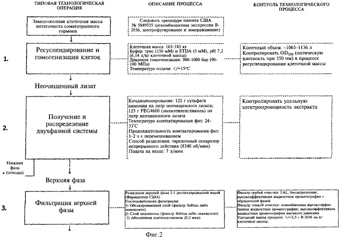 Способ получения рекомбинантного полипептида-антагониста соматотропного гормона со сниженным содержанием изоформных примесей (варианты) (патент 2337920)