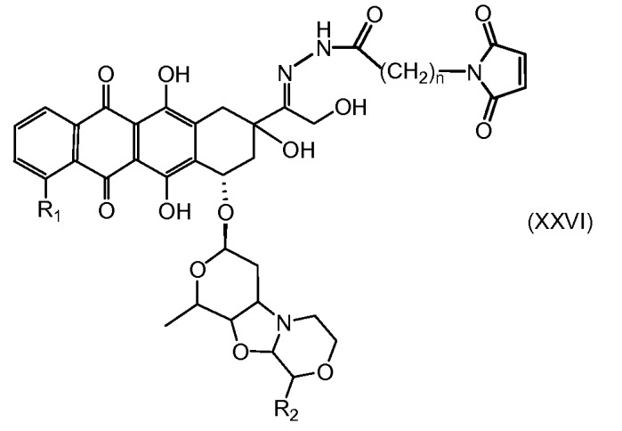 Конъюгаты производного антрациклина, способы их получения и их применение в качестве противоопухолевых соединений (патент 2523419)