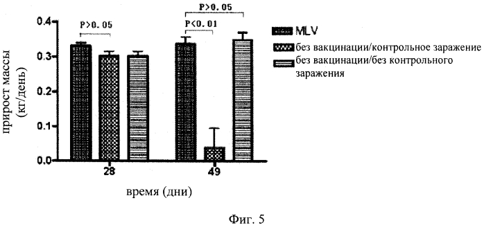 Вакцина против высокопатогенного репродуктивно-респираторного синдрома свиней (hp prrs) (патент 2561595)