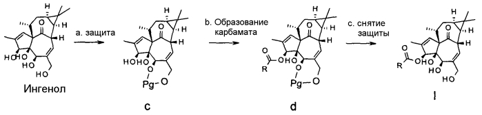 Ингенол-3-ацилаты iii и ингенол-3-карбаматы (патент 2572549)