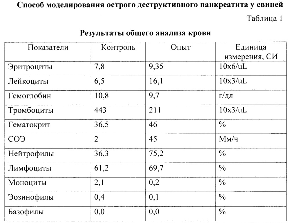 Способ моделирования острого деструктивного панкреатита у свиней (патент 2668201)