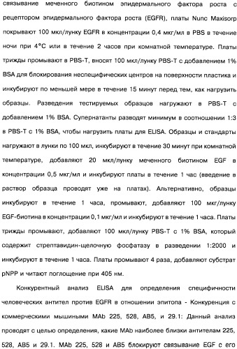 Человеческие моноклональные антитела к рецептору эпидермального фактора роста (egfr), способ их получения и их использование, гибридома, трансфектома, трансгенное животное, экспрессионный вектор (патент 2335507)