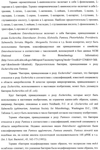 Способ получения l-треонина с использованием бактерии, принадлежащей к роду escherichia, в которой инактивирован ген msba (патент 2392313)