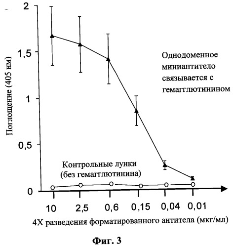 Противовирусное однодоменное мини-антитело, нуклеотидная последовательность, экспрессирующий рекомбинантный вирусный вектор, фармацевтическая композиция и способ профилактики или терапии гриппа типа а (патент 2536956)