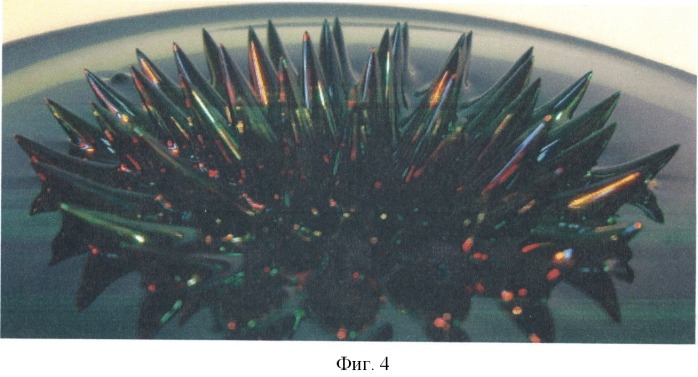 Способ демонстрации физических свойств магнитных жидкостей (патент 2423738)