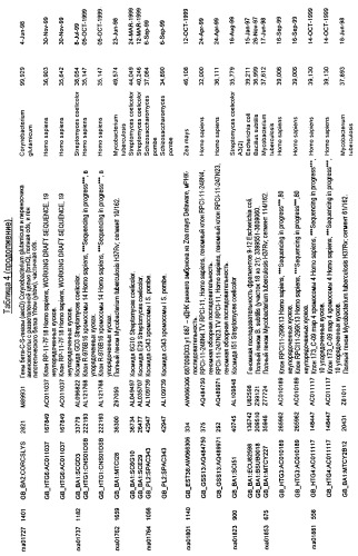 Гены corynebacterium glutamicum, кодирующие белки, участвующие в синтезе мембран и мембранном транспорте (патент 2312145)