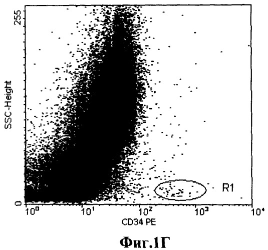 Способ количественного определения клеток-предшественников (cd34+) в кроветворной ткани (патент 2513511)