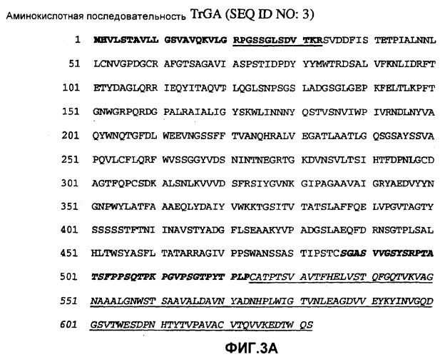 Глюкоамилаза trichoderma reesei и ее гомологи (патент 2394101)