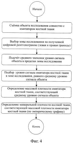 Способ определения минеральной плотности костной ткани (патент 2400141)