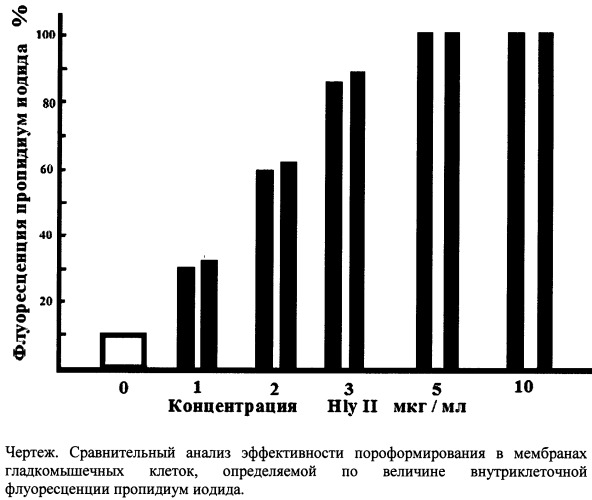 Быстрый способ обработки гладкомышечных клеток кишечника гемолизином ii bacillus cereus (патент 2497118)