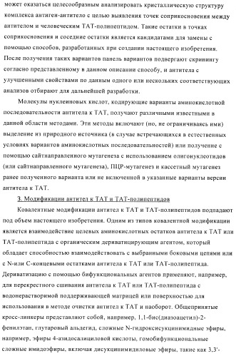 Композиции и способы диагностики и лечения опухоли (патент 2423382)