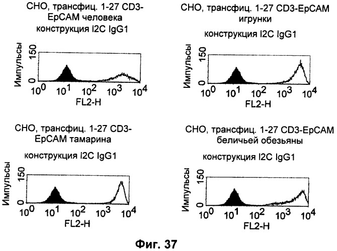 Pscaxcd3, cd19xcd3, c-metxcd3, эндосиалинxcd3, epcamxcd3, igf-1rxcd3 или fap-альфаxcd3 биспецифическое одноцепочечное антитело с межвидовой специфичностью (патент 2547600)