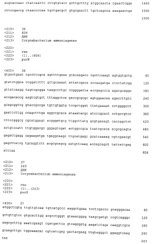 Микроорганизмы corynebacterium с повышенной продукцией 5&#39;- инозиновой кислоты и способ получения нуклеиновых кислот с их использованием (патент 2482178)