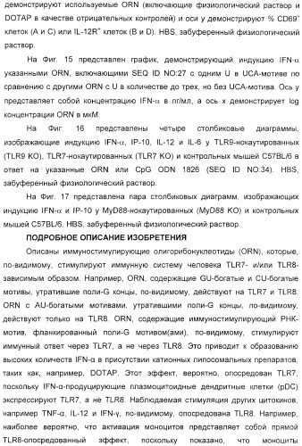 Мотивы последовательности рнк в контексте определенных межнуклеотидных связей, индуцирующие специфические иммуномодулирующие профили (патент 2435851)