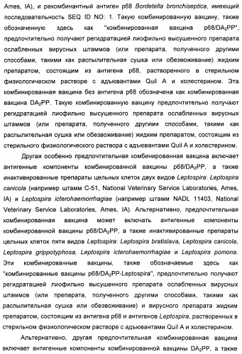 Поливалентные вакцины для собак против leptospira bratislava и других патогенов (патент 2400248)