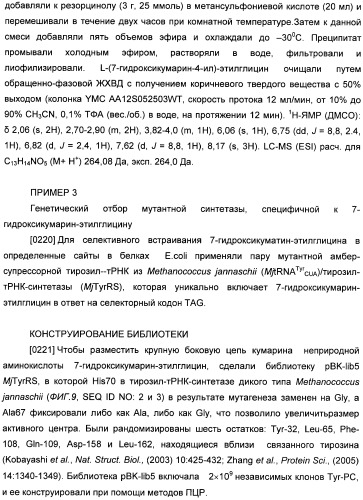 Генетически кодируемые флюоресцентные кумариновые аминокислоты (патент 2473690)