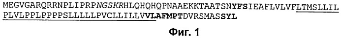 Растения, имеющие улучшенные характеристики роста, и способы их получения (патент 2463352)