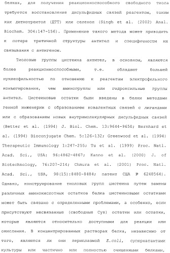 Антитела, сконструированные на основе цистеинов, и их конъюгаты (патент 2412947)