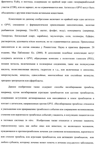 Антитела к гликопротеину vi и способы продуцирования и использования этих антител (патент 2407752)