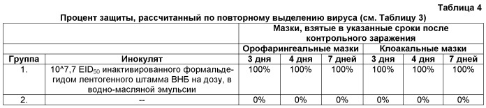 Инактивированная вакцина для птицы (патент 2545530)