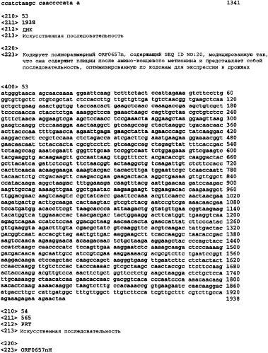 Полипептиды для индукции защитного иммунного ответа против staphylococcus aureus (патент 2337108)