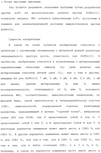 Scfv против egfrviii с улучшенной цитотоксичностью и выходом, иммунотоксины на их основе и способы их применения (патент 2317999)
