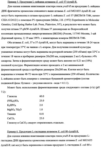 Способ получения l-треонина с использованием бактерии, принадлежащей к роду escherichia, в которой инактивирован кластер генов yrah-r (патент 2337962)