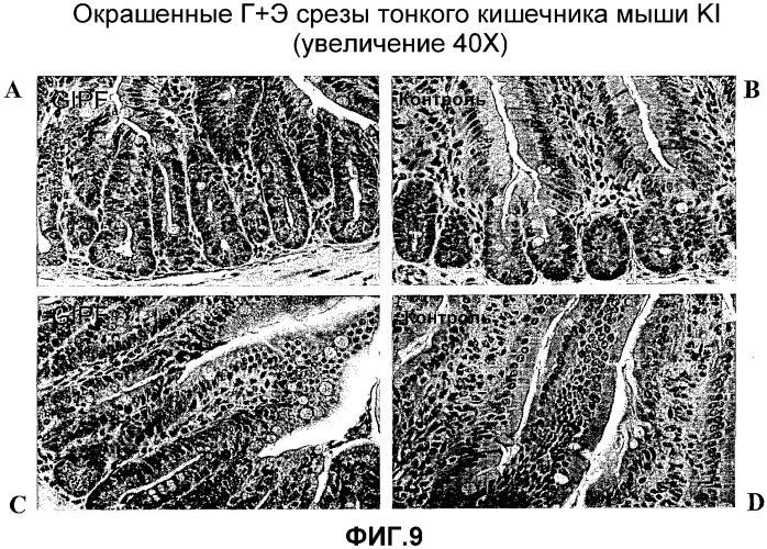 Желудочно-кишечный пролиферативный фактор и его применения (патент 2343158)